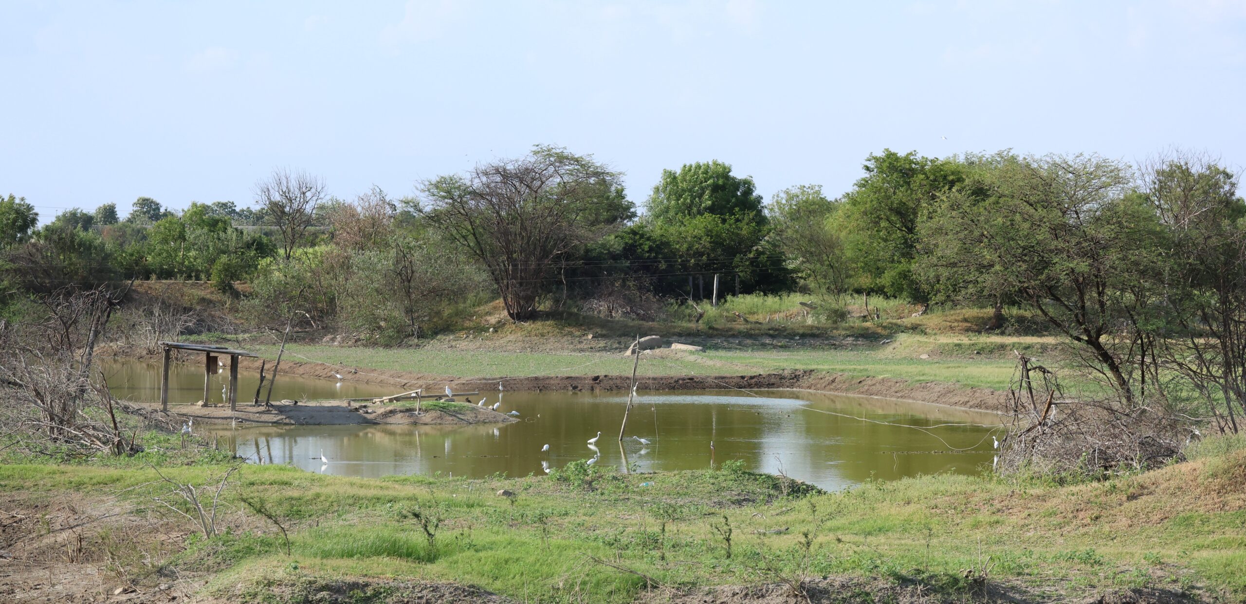 Trip to Nandipalle