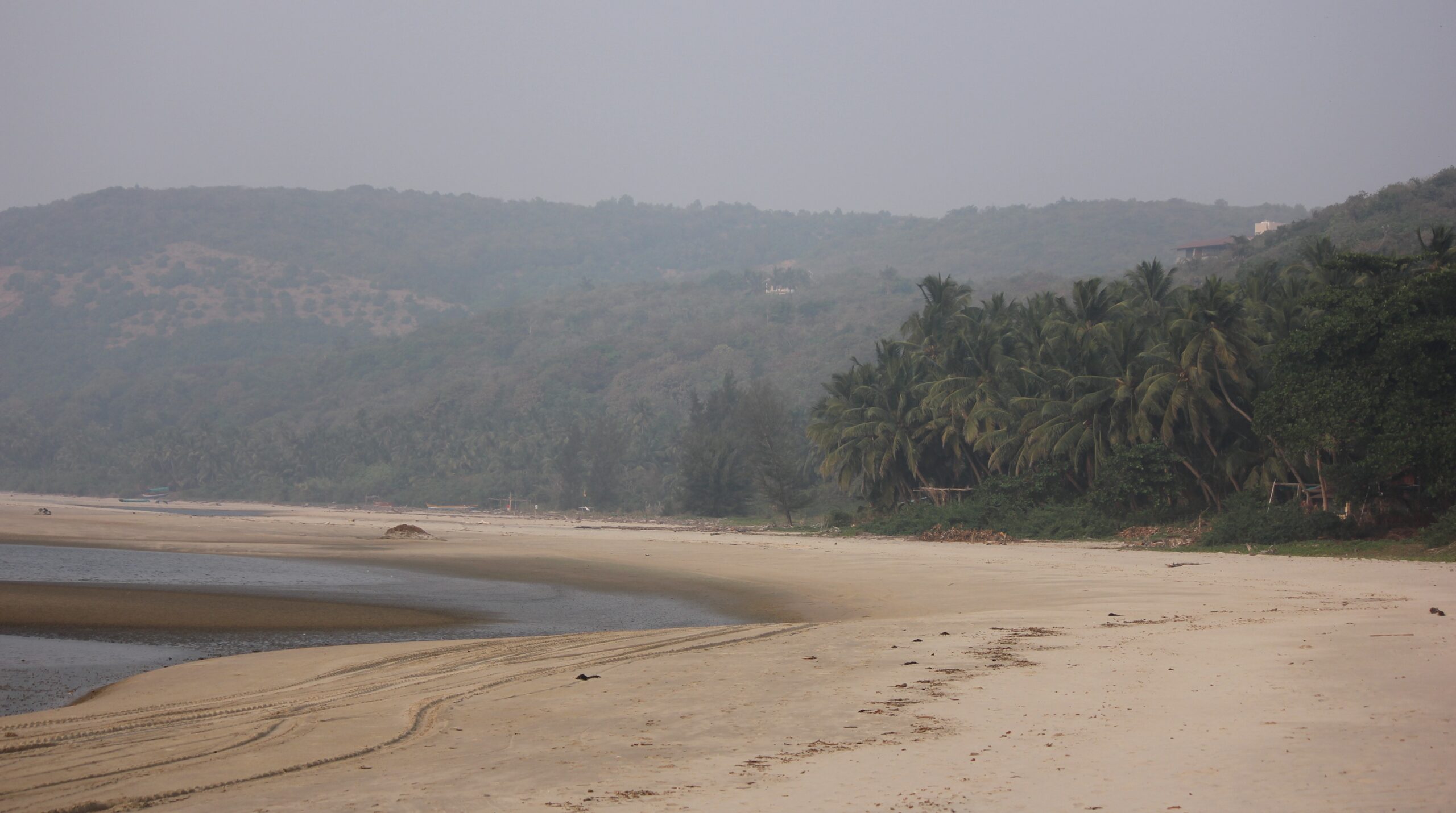 Sindhudurg Birds