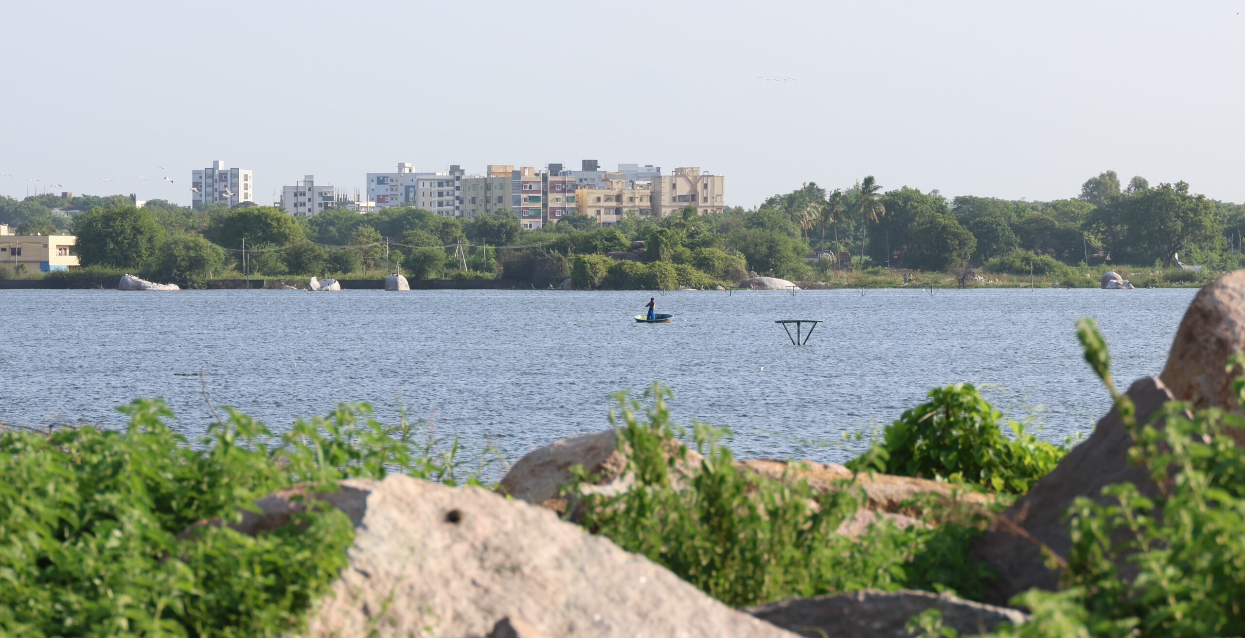 Ameenpur Lake Birding Spot